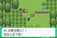 口袋妖怪忆梦之巅