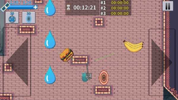 我看到的是一只猫吗