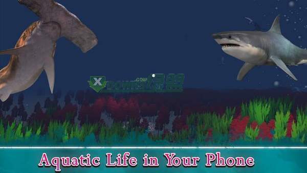 VR海洋水族馆3D