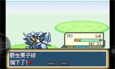 口袋妖怪游戏王