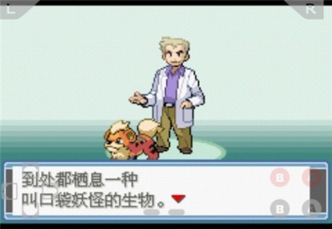 精灵宝可梦小智和莎莉娜