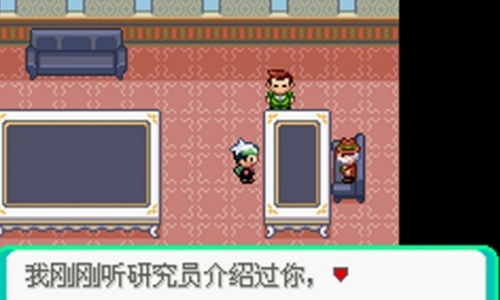口袋妖怪绿宝石全随机