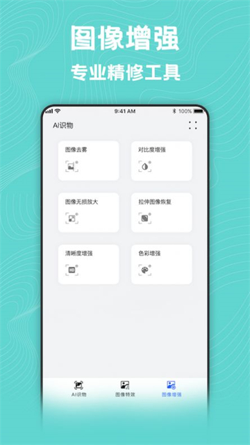 风格转换大师