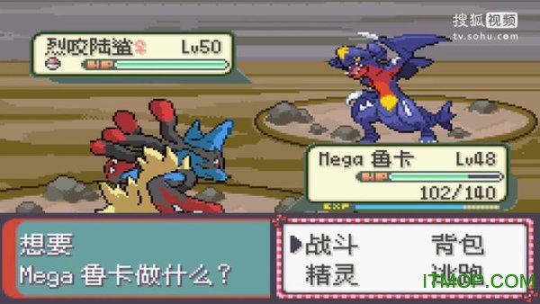 口袋妖怪永恒之沫图2