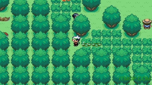 口袋妖怪永恒之沫图4