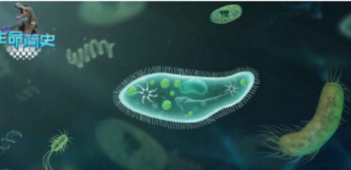 生命简史古生物放置