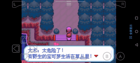 口袋妖怪圣光白