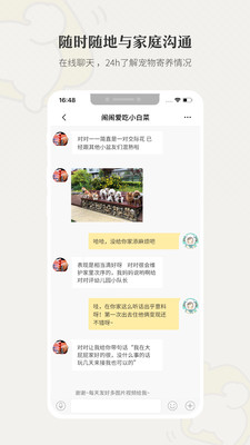 小狗在家宠物寄养