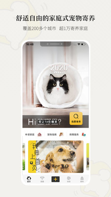 小狗在家宠物寄养