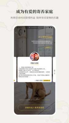 小狗在家宠物寄养