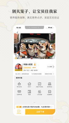 小狗在家宠物寄养