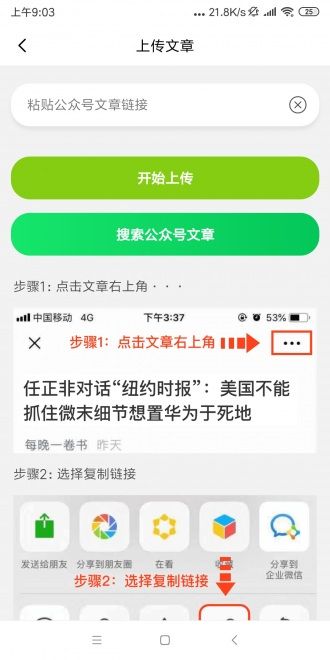 杨桃转