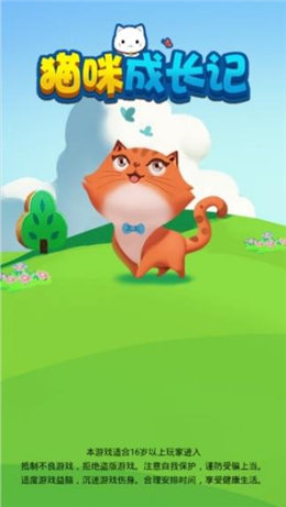猫咪成长记