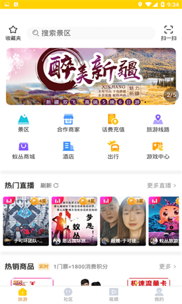 旅游蚁虫