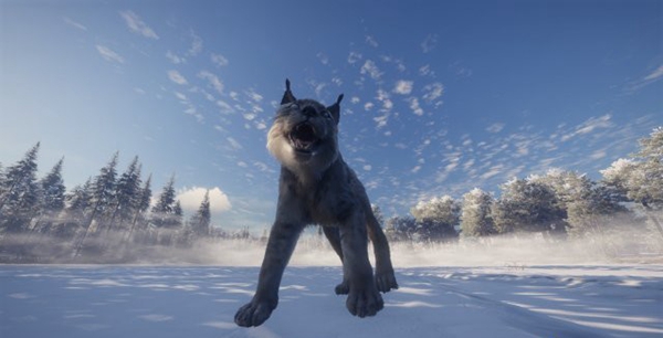 猎人荒野的呼唤