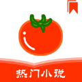 番茄热门小说