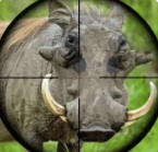 野外猎猪狙击手