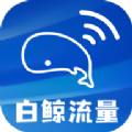 白鲸流量管理
