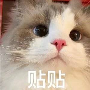 哈吉米