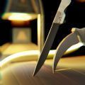 Knife Flipperv