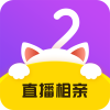 喵呜交友
