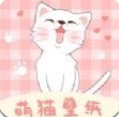 萌猫桌面壁纸