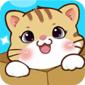 猫请就位