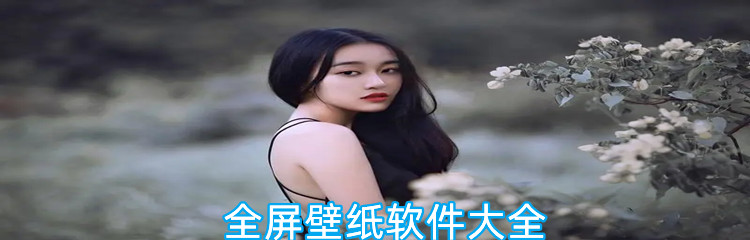 全屏壁纸软件大全