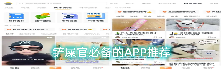 铲屎官必备的APP推荐