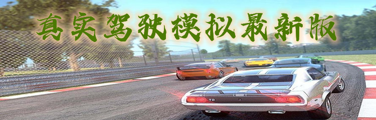 真实驾驶模拟最新版