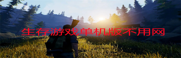 生存游戏单机版不用网