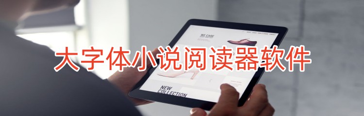 大字体小说阅读器软件推荐