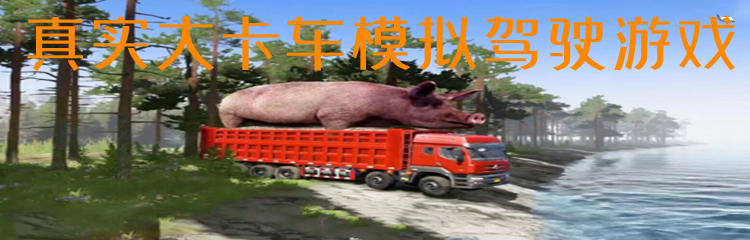 真实大卡车模拟驾驶游戏