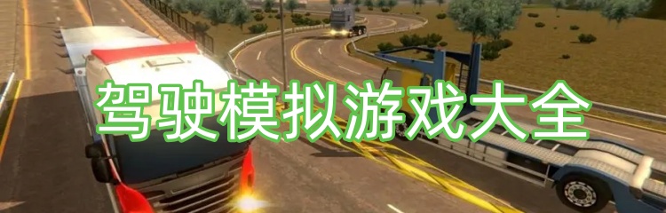 驾驶模拟游戏大全