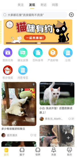 种猫家