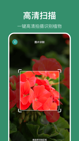 识花草图3