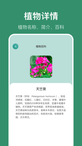 识花草图1
