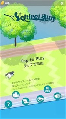 深棕色的麻雀 深棕色的麻雀