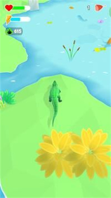 野生动物探险