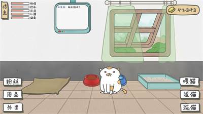 主播和猫的故事 主播和猫的故事