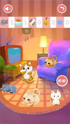宝宝猫咪乐园 宝宝猫咪乐园