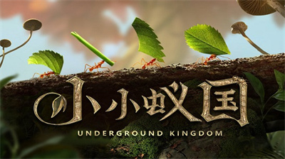 小小蚁国免实名认证