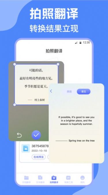DeepL英译汉 DeepL英译汉