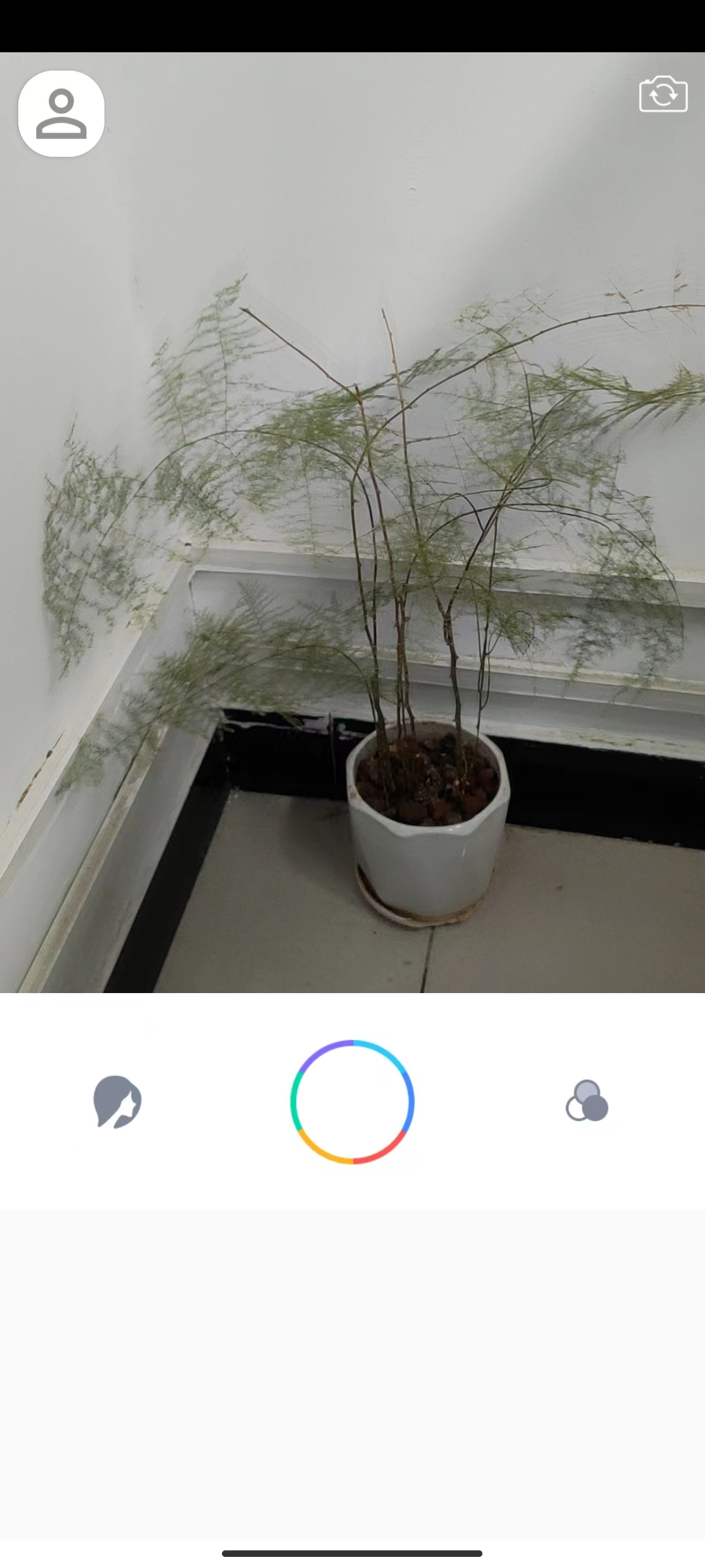 惊鸿相机 惊鸿相机