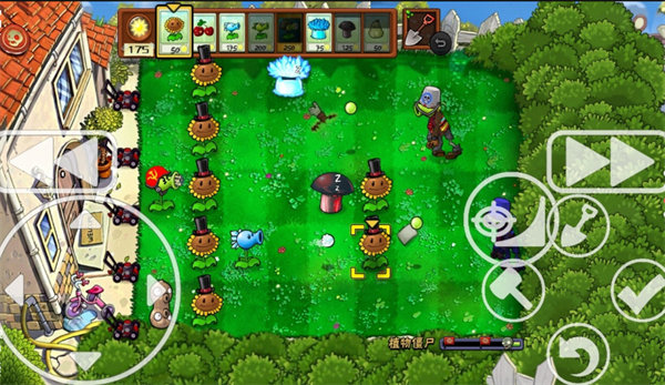 植物大战僵尸est版 植物大战僵尸est版