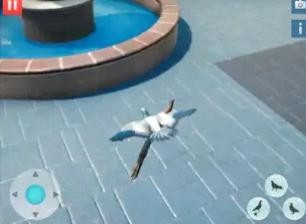 饥饿的鸽子模拟器