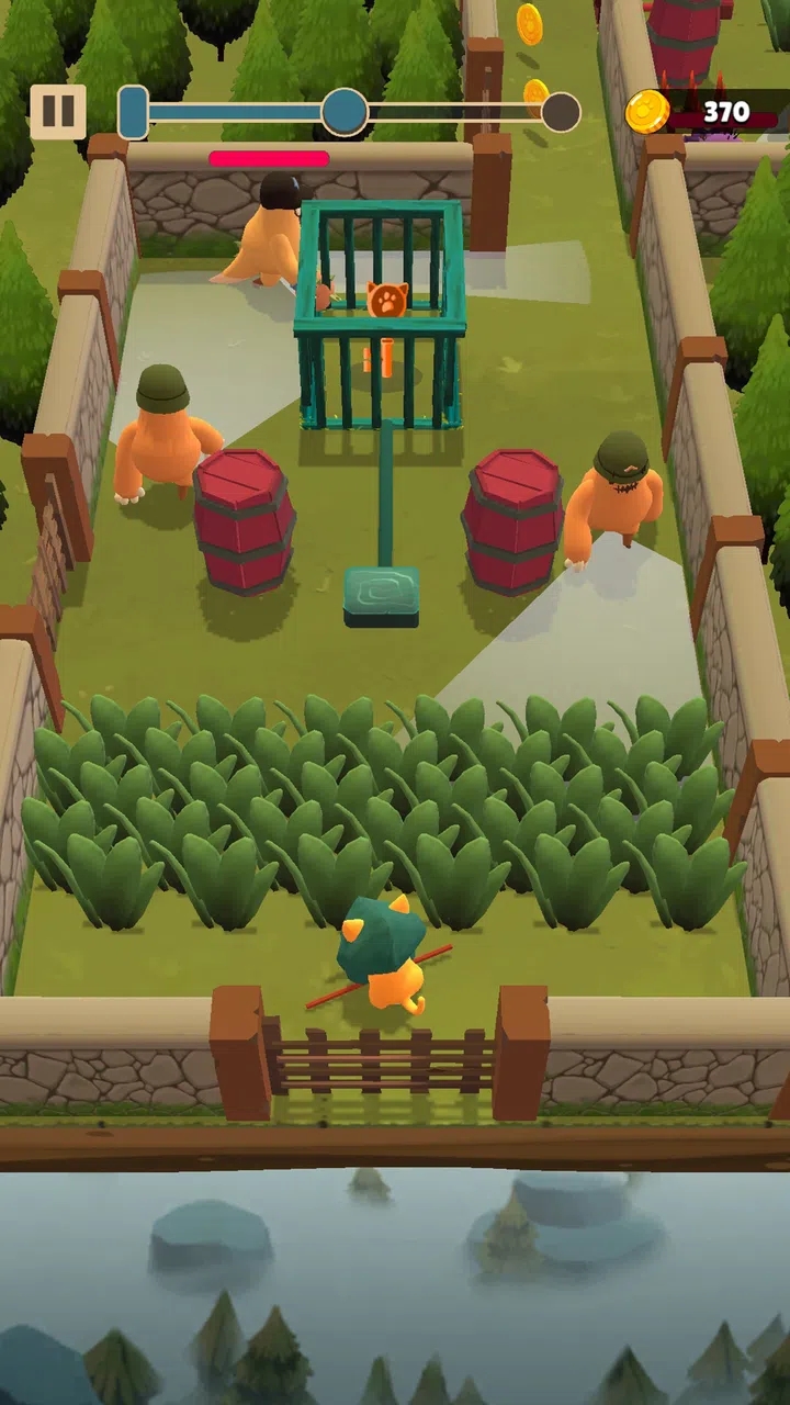 猫咪刺客 猫咪刺客