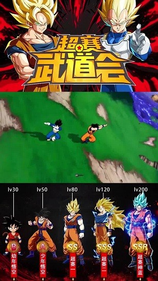 超赛武道会