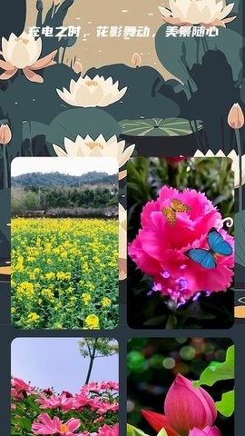 花影充电