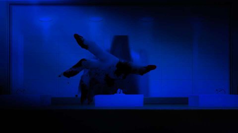 桃花入命